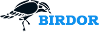Pro Academy GmbH Logo